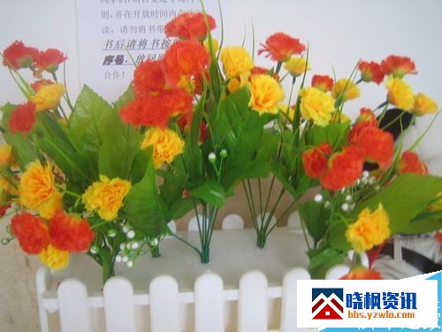 155741p01wd33tx3951ph1.jpeg