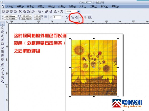 231508ul5tm2thp2xvtjp2.jpeg