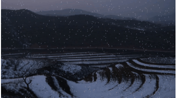 174104yyzm62s2c2royrm3.gif