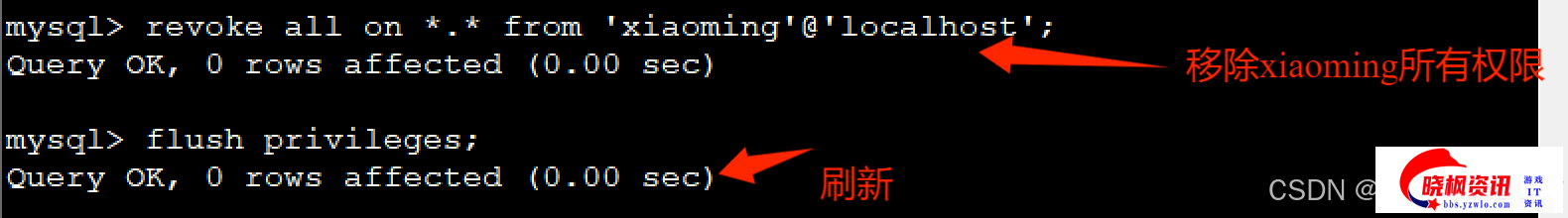 6.png
